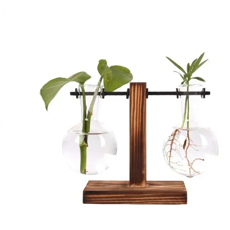 Wooden stand with two glass vases holding plants on a white background