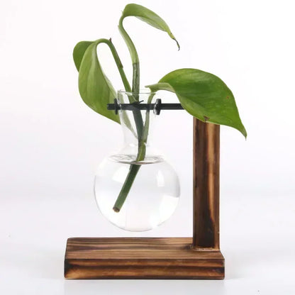 Glass vase with plant on a wooden stand against a white background