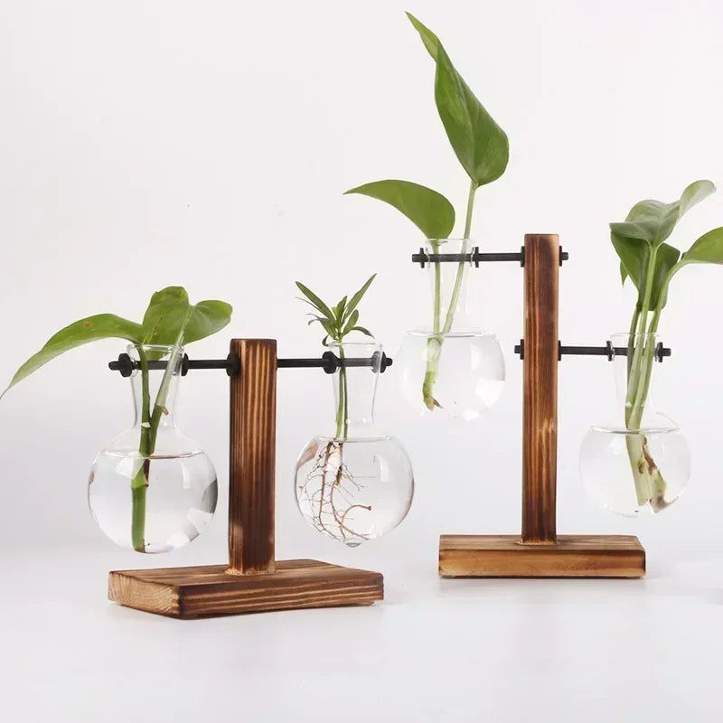 Set of glass vases with plants on wooden stands against a white background