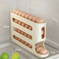 Egg holder with eggs inside, showing dimensions, on a refrigerator door.