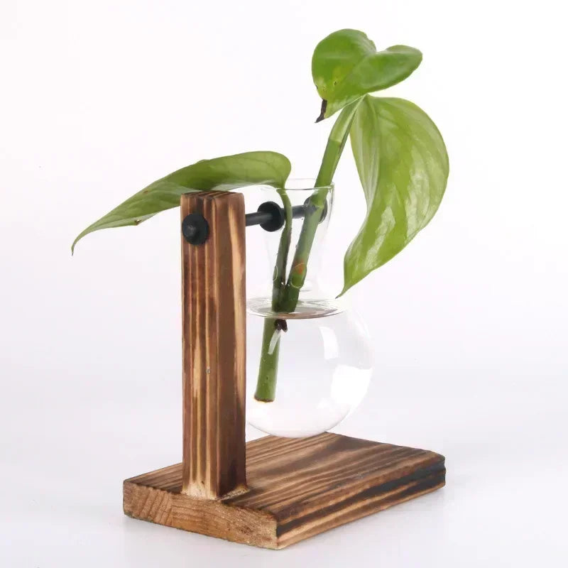 Glass vase with plant on a wooden stand against a white background