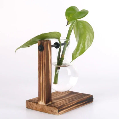 Glass vase with plant on a wooden stand against a white background