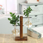 Decorative setup with glass vases containing plants on a wooden stand, placed on a surface with a book and newspaper underneath.