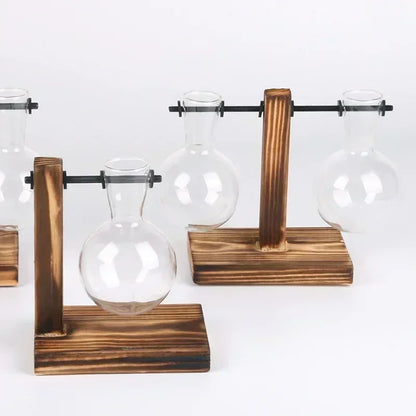 Clear glass bulbs on wooden stands against a white background