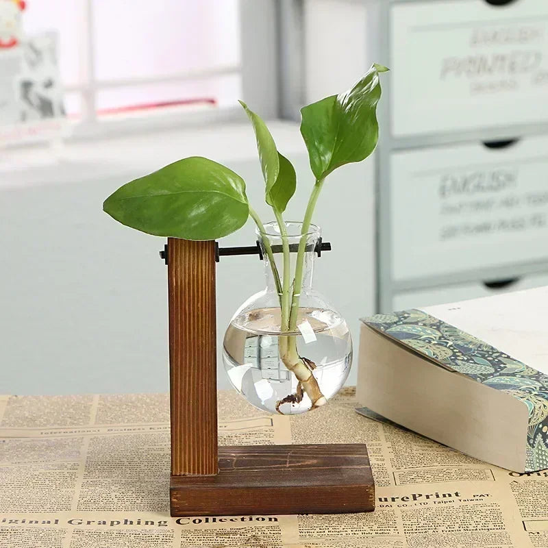 Glass vase with plant on a wooden stand on a table with a blurred background