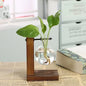 Glass vase with plant on a wooden stand on a table with a blurred background