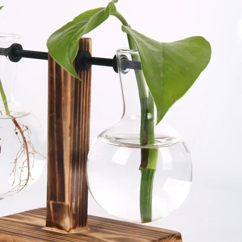 Glass vase with plant on a wooden stand against a white background