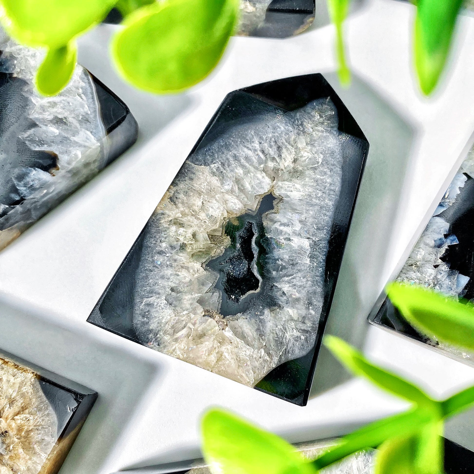 Geode crystal with a central cavity on a white surface, surrounded by green leaves.